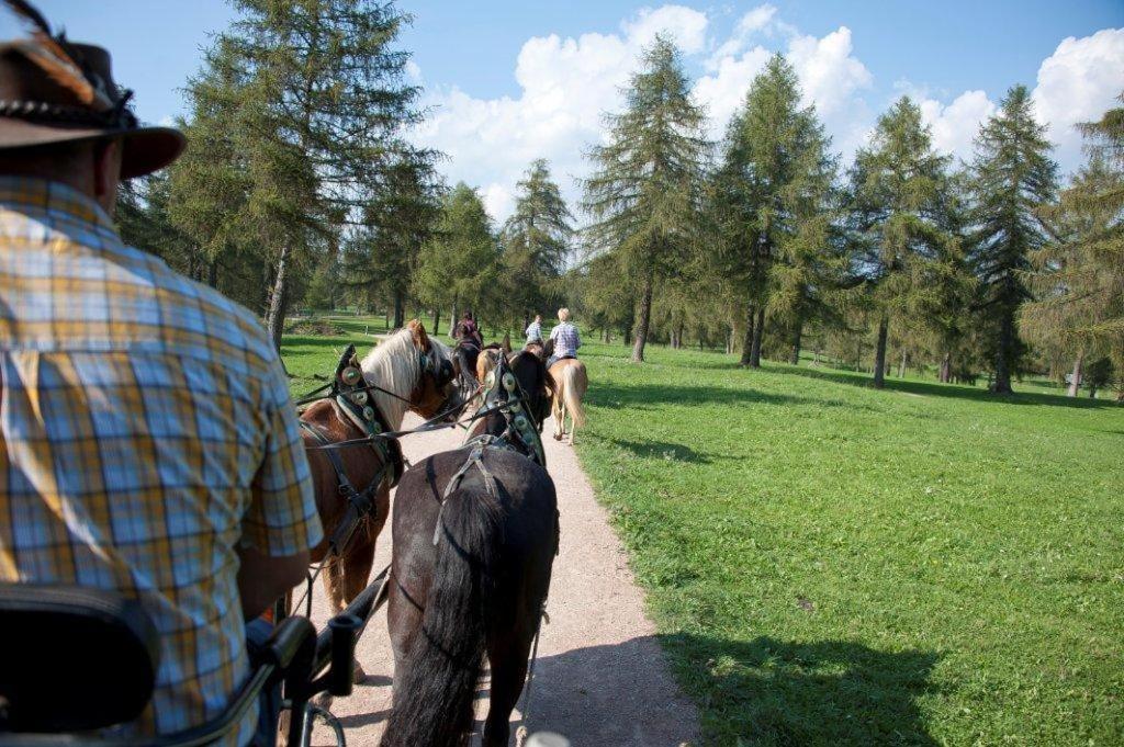 Hotel Reiterhof Edelweiss San Genesio Atesino Zewnętrze zdjęcie