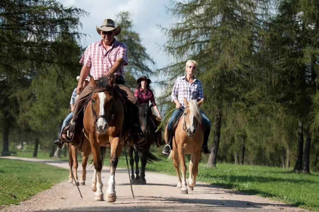 Hotel Reiterhof Edelweiss San Genesio Atesino Zewnętrze zdjęcie