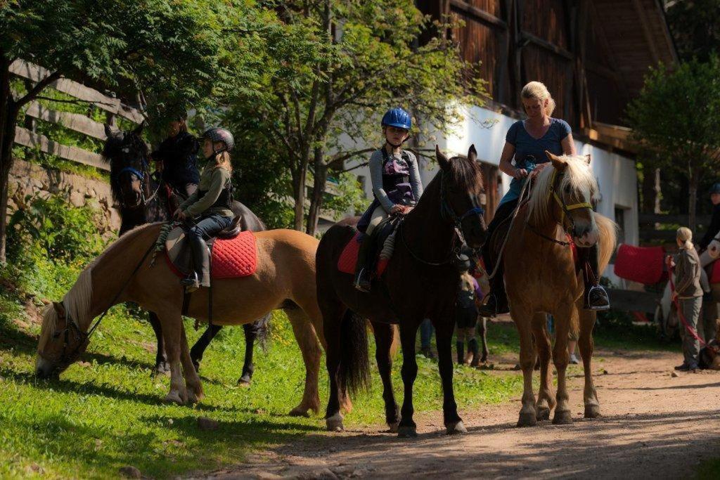 Hotel Reiterhof Edelweiss San Genesio Atesino Zewnętrze zdjęcie